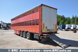 Pezzaioli SCT63U  2001