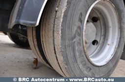 Trailor SREM  2011 full