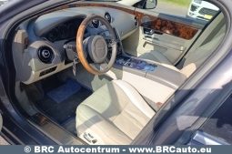 Jaguar XJ Luxury 3.0d V6 Automatas 2010 full