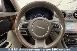 Jaguar XJ Luxury 3.0d V6 Automatas 2010 full