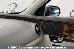 Jaguar XJ Luxury 3.0d V6 Automatas 2010 full