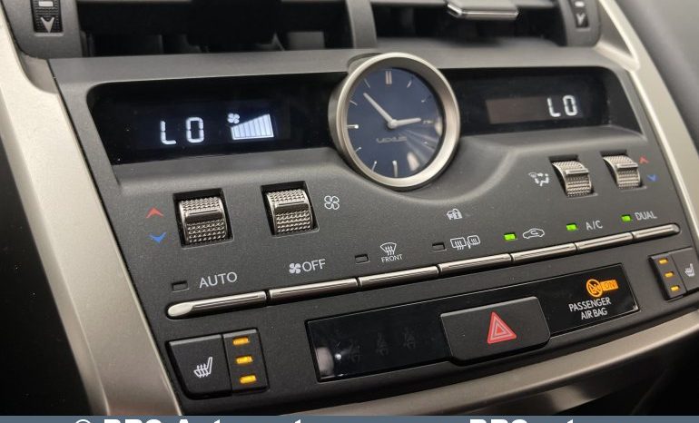 Lexus NX300h Hybrid AWD Automatas 2021 full