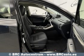 Lexus NX300h Hybrid AWD Automatas 2021