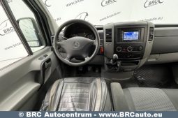 Mercedes-Benz Sprinter 516 CDI 2012 full