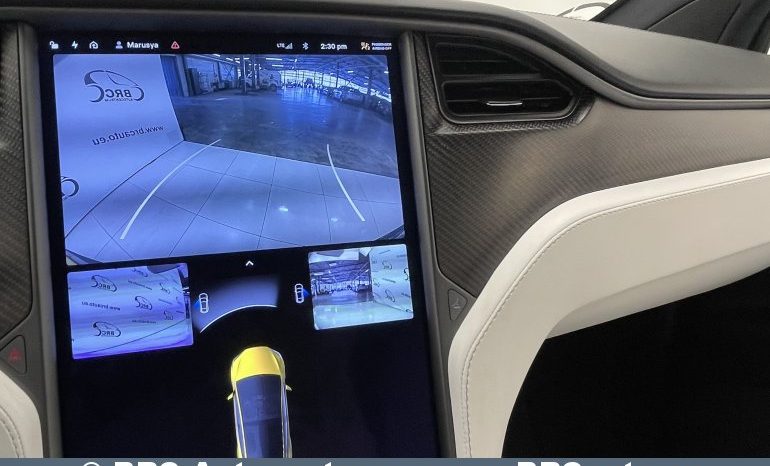 Tesla Model X 100D Long Range Plus 2020 full