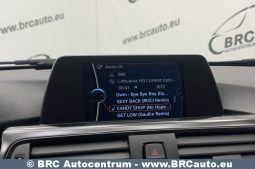 BMW 316 d Automatas 2014 full