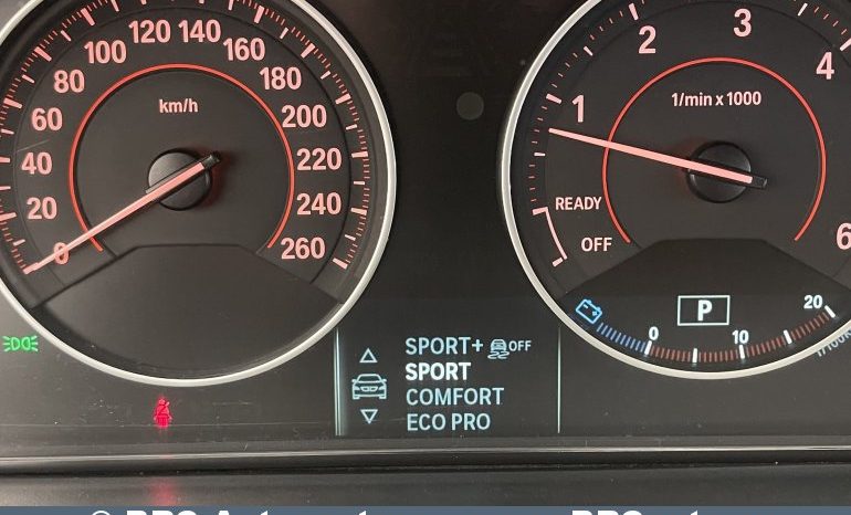 BMW 316 d Automatas 2014 full