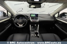 Lexus NX300h Hybrid AWD Automatas 2021