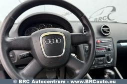 Audi A3 1.9 TDI Automatas 2006 full