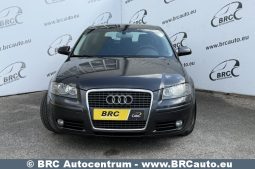 Audi A3 1.9 TDI Automatas 2006 full