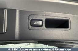 Lexus NX300h Hybrid AWD Automatas 2016 full