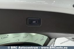 Audi Q7 3.0 TDI Quattro Automatas 2018 full