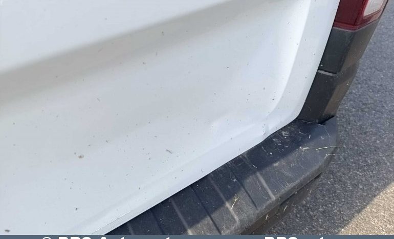 Renault Trafic 1.6 dCi Tech 2019 full