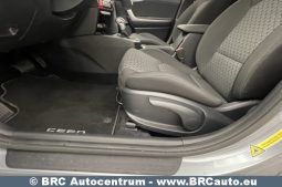 Kia Ceed 1.5 T-GDI Automatas 2024 full