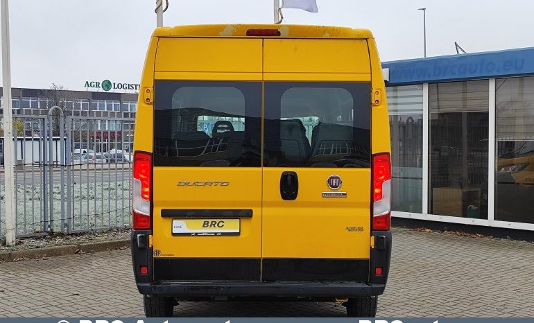 Fiat Ducato 3.0 Natural Power CNG 2019 full