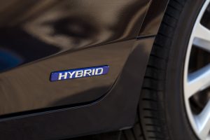 Hibridas (Shutterstock nuotr.)