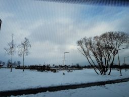 Ford Tourneo Connect 2014 full