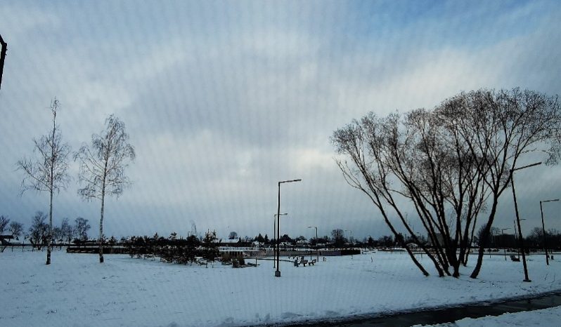 Ford Tourneo Connect 2014 full