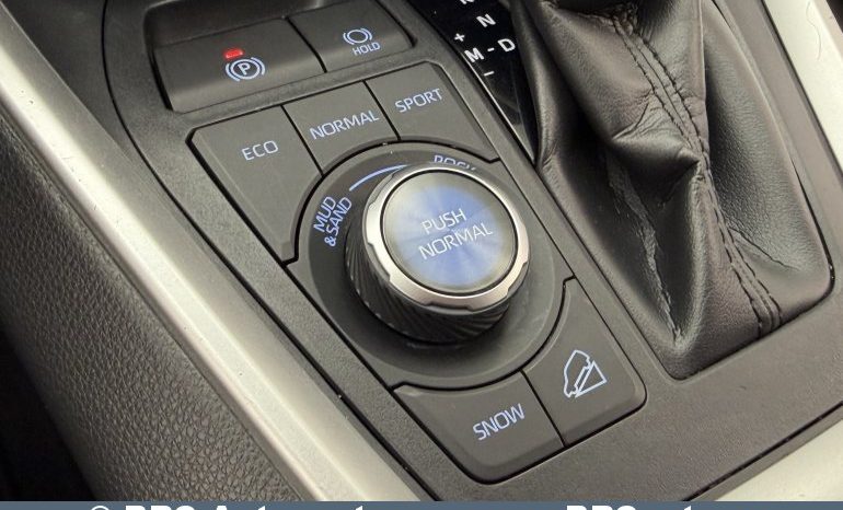 Toyota RAV 4 AWD Automatas 2019 full