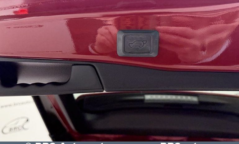 Toyota RAV 4 AWD Automatas 2019 full