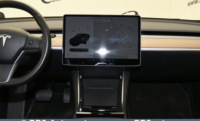 Tesla Model 3 Standard Range Plus 2019 full