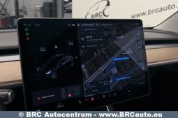 Tesla Model 3 Standard Range Plus 2019 full