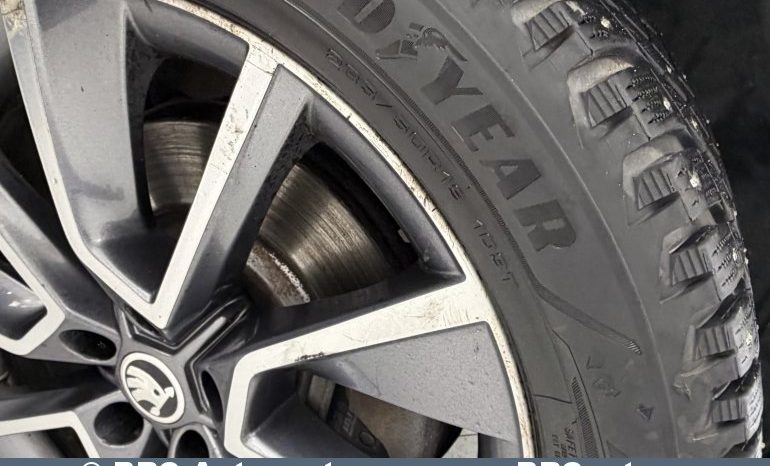 Skoda Kodiaq Scout 4X4 2.0 TDI Automatas 2020 full