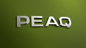 Škoda Peaq logotipas