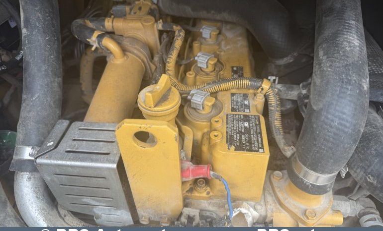 Caterpillar 289D  2019 full