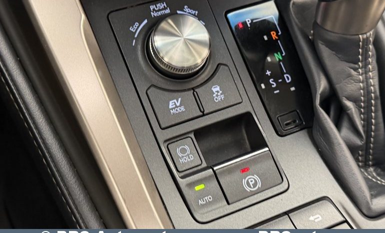 Lexus NX300h 2.5 AWD Hybrid Automatas 2017 full