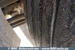 Renault Magnum  2009 full