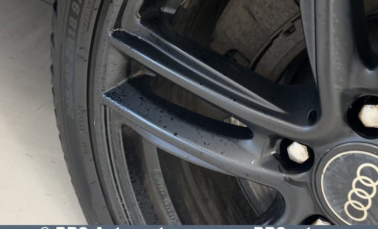 Audi A6 3.0 TDI Quattro Avant Automatas 2009 full