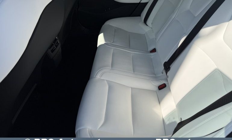 Tesla Model S P100D Ludicrous 100kWh Dual Motor AWD 2020 full