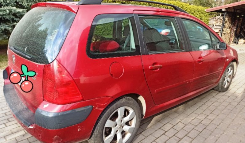 Peugeot 307 2007 full