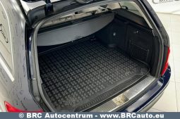 Mercedes-Benz C 220 BLUE EFFICIENCY Automatas 2011 full