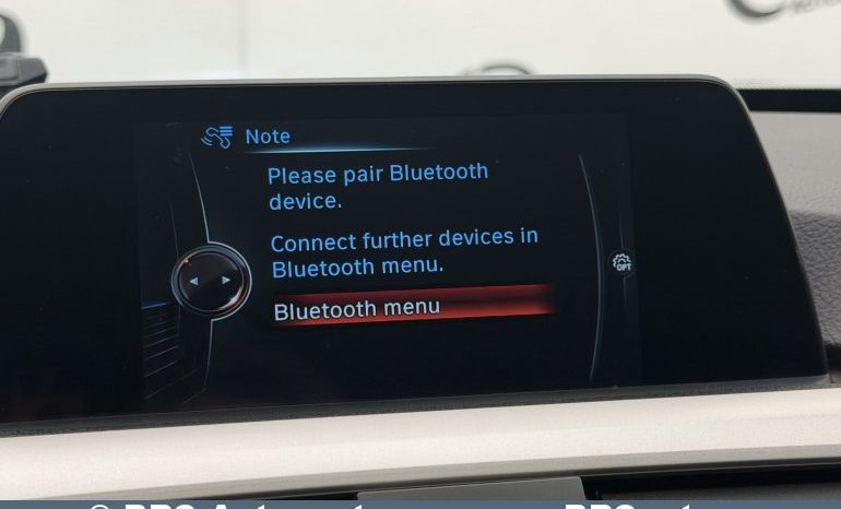 BMW 318 d Automatas 2017 full