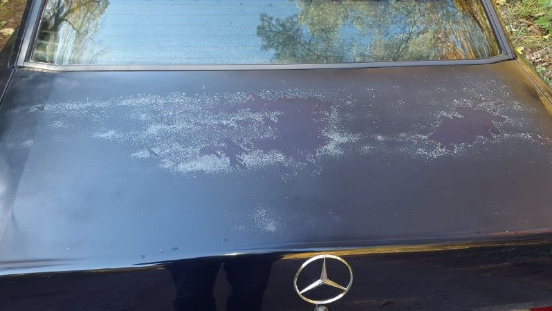 Mercedes Benz 190 1987 full