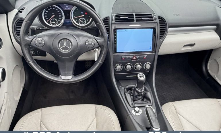 
								Mercedes-Benz SLK 280 V6 Benzinas/Dujos 2008 full									