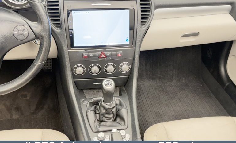 
								Mercedes-Benz SLK 280 V6 Benzinas/Dujos 2008 full									