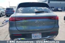 
										Mercedes-Benz EQS 450 4Matic 2023 full									