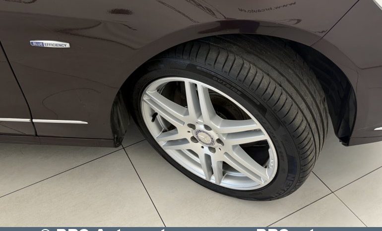 
								Mercedes-Benz E 350 Blue Efficiency Elegance Automatas 2009 full									