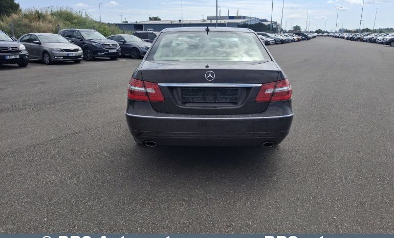 
								Mercedes-Benz E 350 Blue Efficiency Elegance Automatas 2009 full									