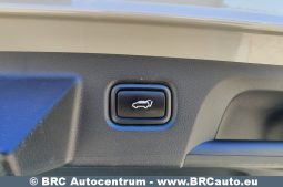
										Kia Proceed GT 1.6 T-GDI 2019 full									