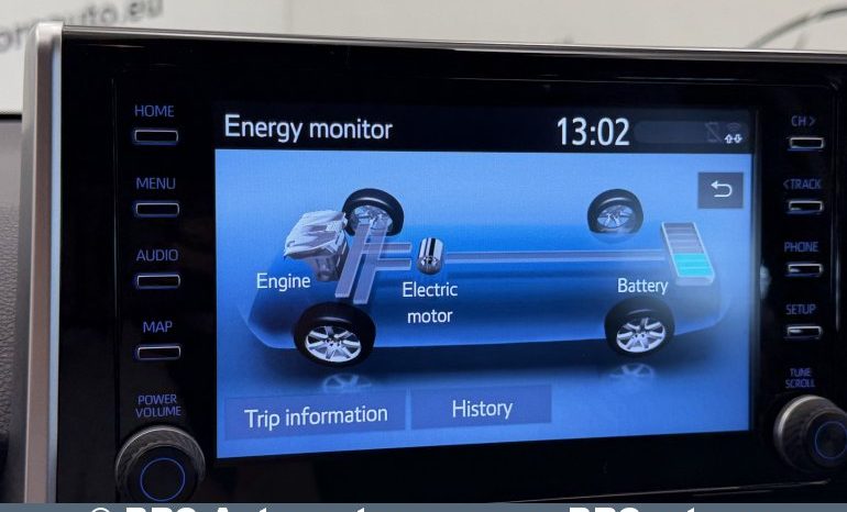 
								Toyota RAV 4 2.5 Hybrid SUV Dynamic Force Automatas 2021 full									