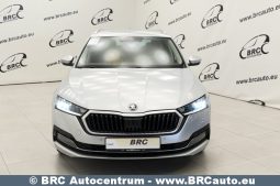 
										Skoda Octavia 2.0 TDI Automatas 2021 full									