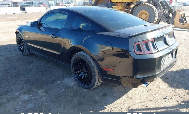
								Ford Mustang GT CS 5.0 2013 full									