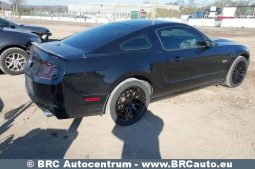 
										Ford Mustang GT CS 5.0 2013 full									