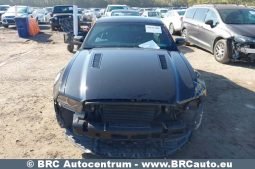 
										Ford Mustang GT CS 5.0 2013 full									