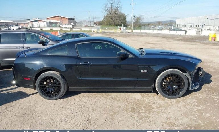 
								Ford Mustang GT CS 5.0 2013 full									