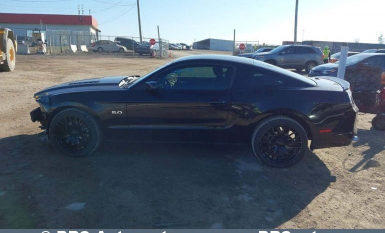 
								Ford Mustang GT CS 5.0 2013 full									
